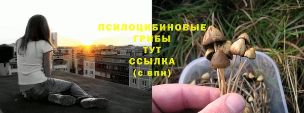 винт Вязьма