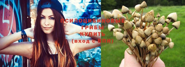 каннабис Вяземский