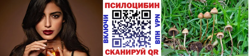 Псилоцибиновые грибы мухоморы  Ивантеевка 